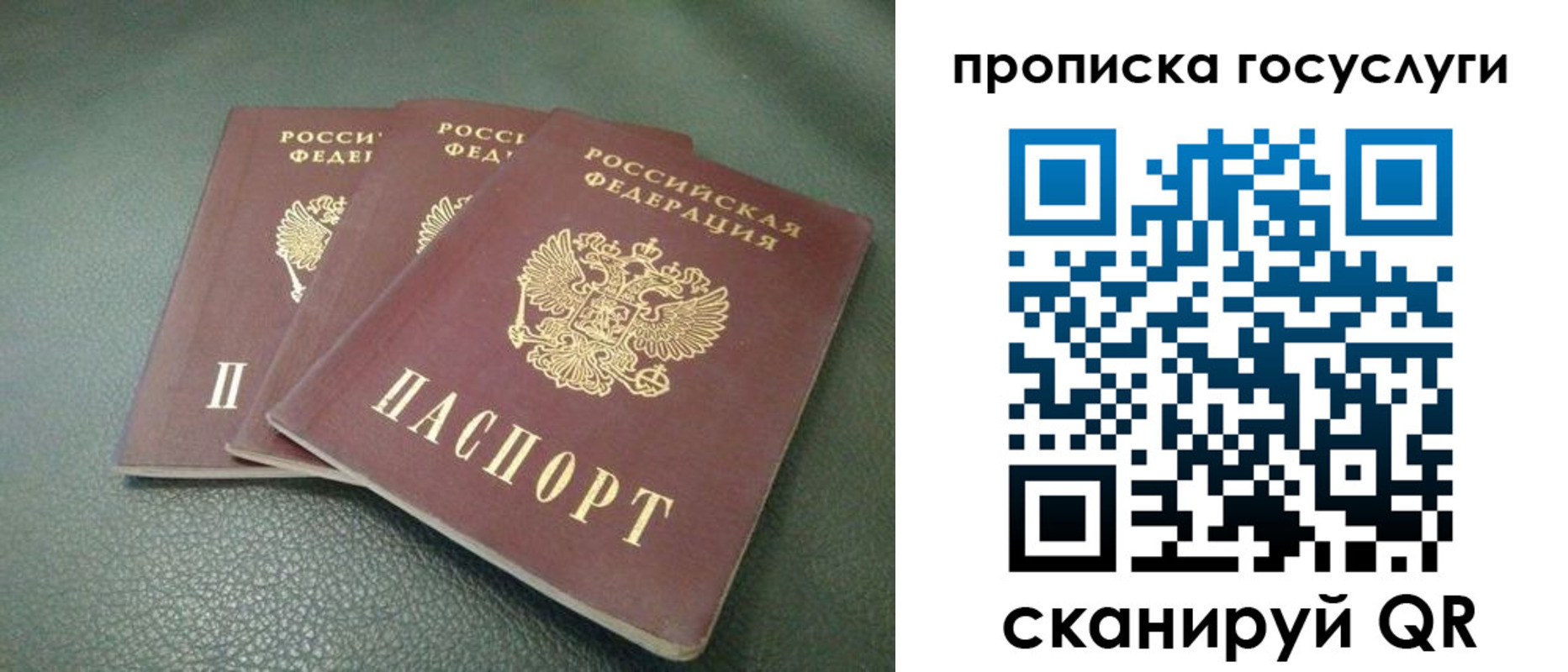 временная регистрация госуслуги в Кандалакше